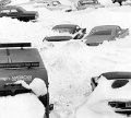 130-whitechristmas