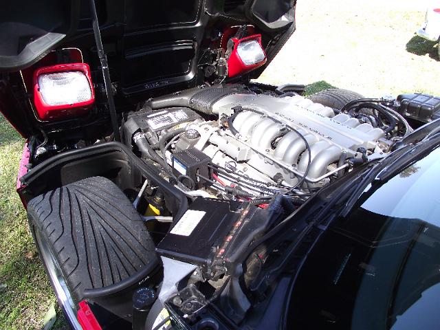 DSCF0761.JPG