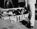 astrochimp