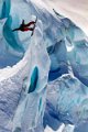 glacier-boarding