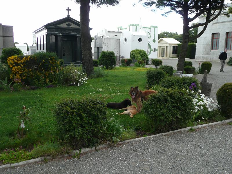 P1000043.JPG