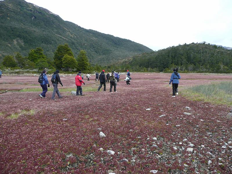 P1000423.JPG