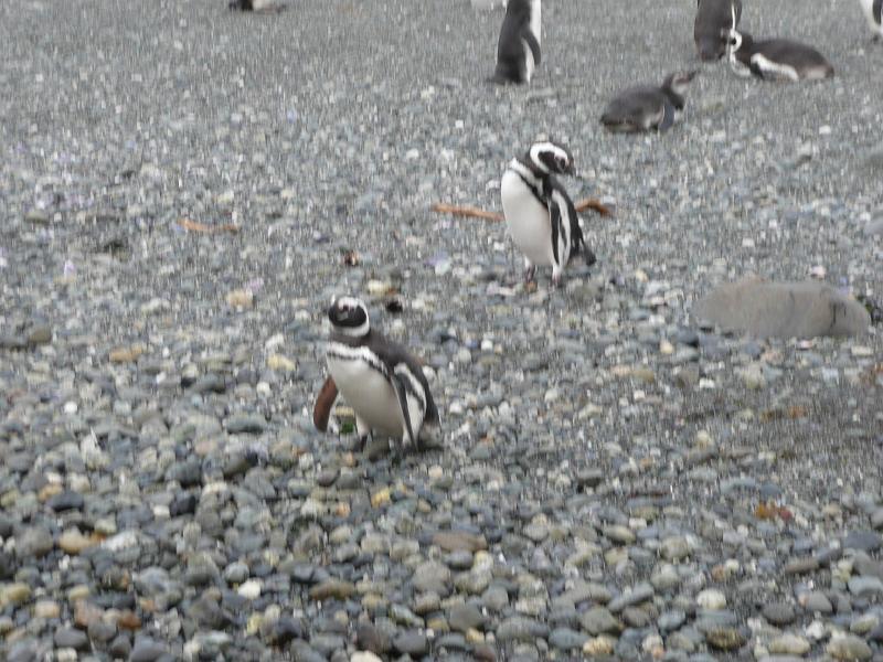 P1000490.JPG