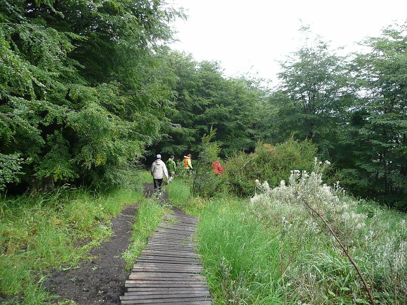 P1000766.JPG