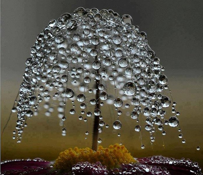 raindrops-francois.jpg