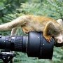 ''I think I'll try to take a picture of myself''