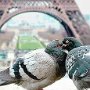 Kiss in Paris.