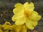 DSCF0246