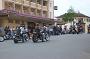 taree15