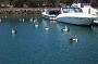 tuncurry04