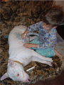 kid15