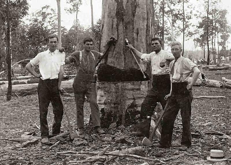 tree_loppers.jpg