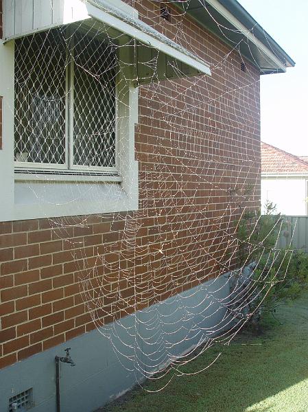 taree-web002.jpg